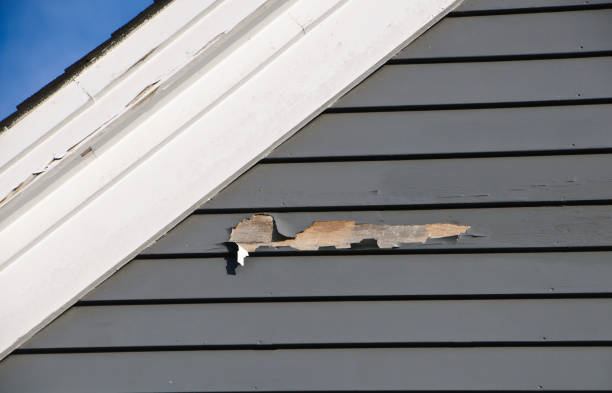 Best Historical Building Siding Restoration  in Hanford, CA